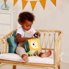 Safari Collection Baby Activity Cube  hi-res